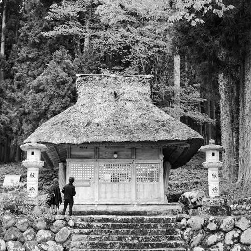 文章封面